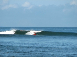 surfer Playa la Saladita
